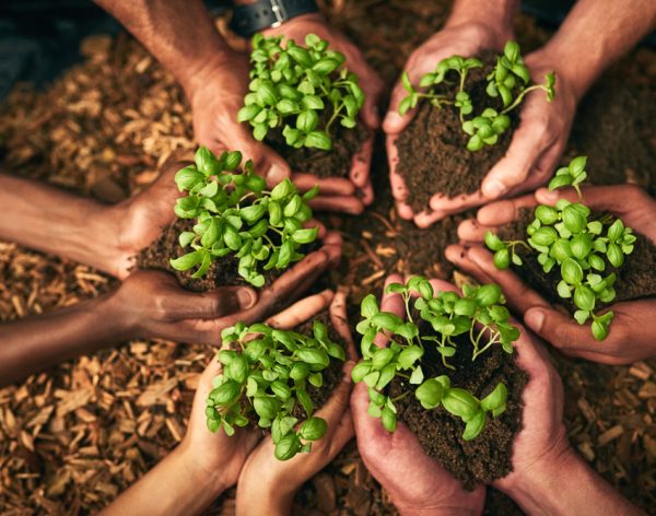 Holding growth in the palms of their hands.